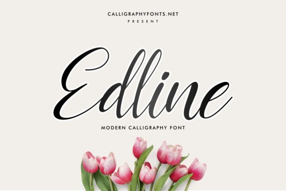 Edline: An Elegant Script Font for Professional Design