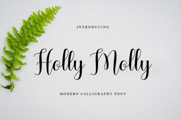 Holly Molly: The Elegant Script Font Bridging Tradition and Modernity