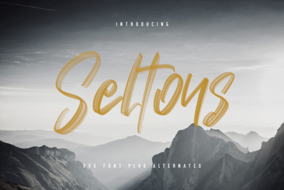 How the Seltons Font Adds a Personal Touch to Your Projects