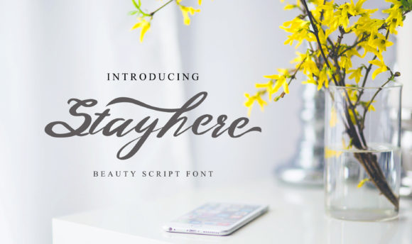 Introducing Stayhere: A Modern Script Font for Practical Elegance