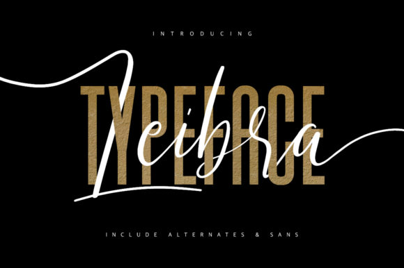 Leibra: A Modern and Cute Script Font for Versatile Design