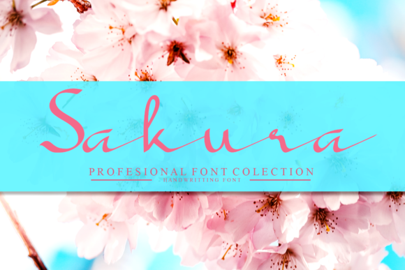 Sakura Font: Elegance and Style for Personal and Professional Design