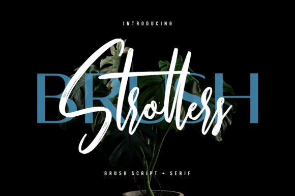 Strollers: A Duo Font for Versatile Design