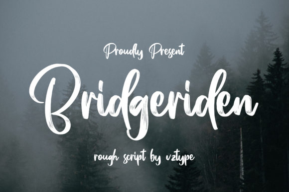 The Art of Type: Bridgeriden as a Modern Design Statement