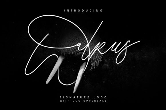 Walrus Script Font